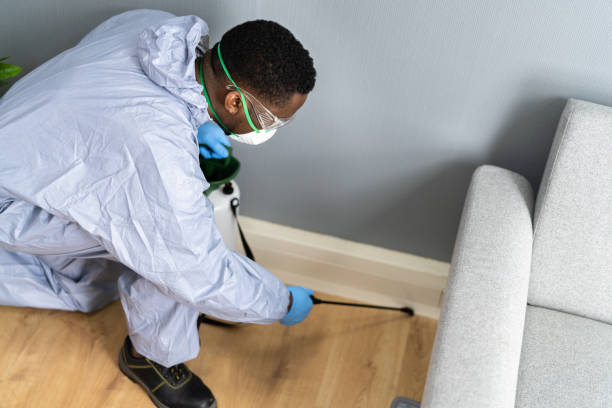 Best Indoor Pest Control  in East Islip, NY